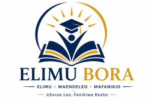 Elimu BORA